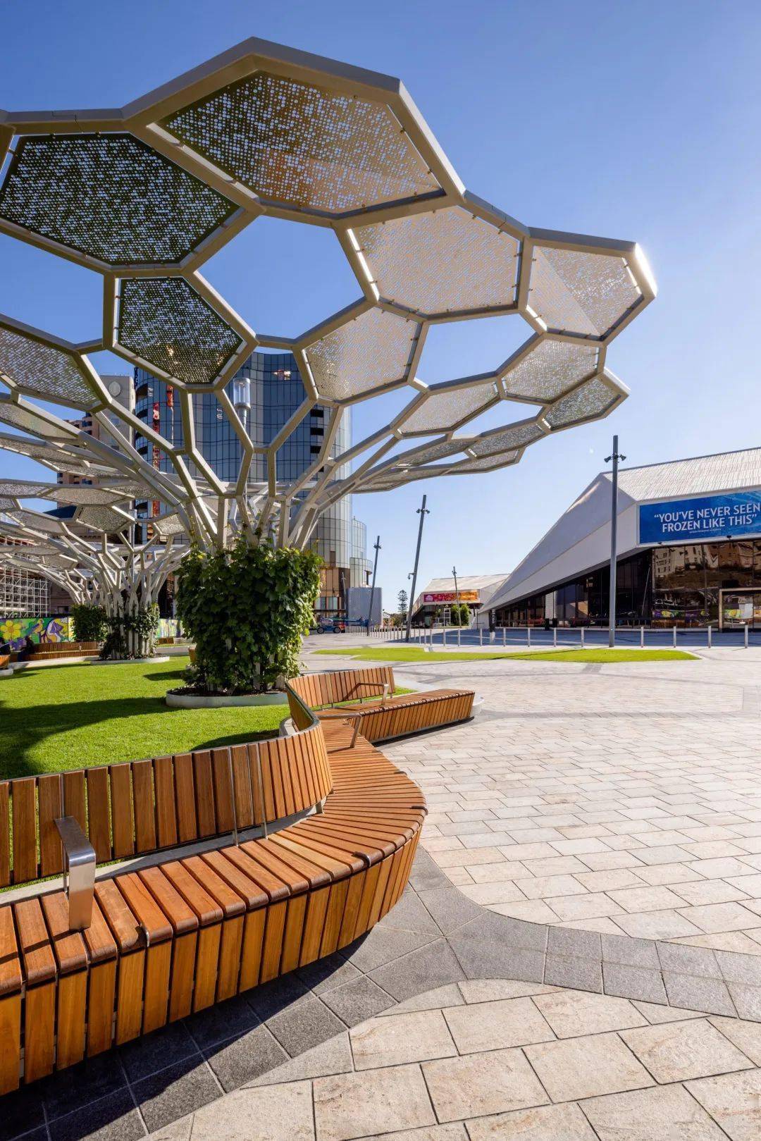 6米高的六角形"树"改造了新广场-澳大利亚adelaide fe