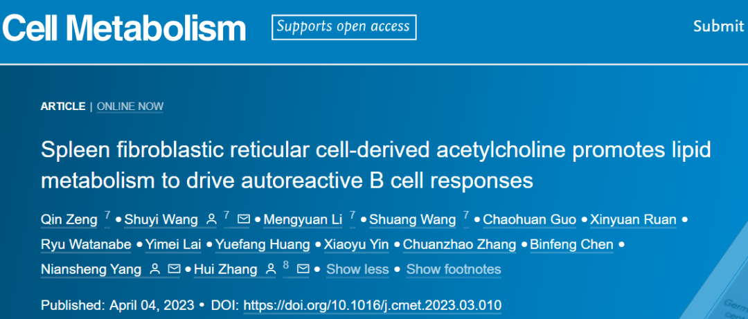 Cell Metabolism | 中山大学张辉/杨念生等合作发现脾成纤维网状细胞在脂质代谢和B细胞分化中的新功能_反应_研究_免疫