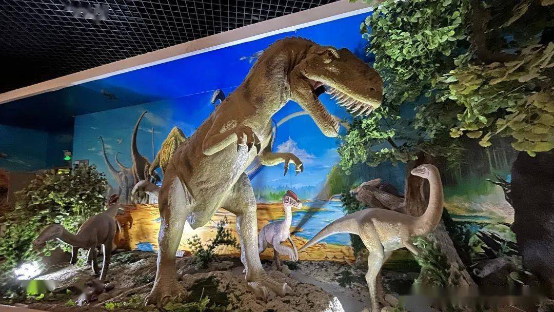 这里珍藏着新疆挖掘的中加马门溪龙,江氏单脊龙,苏氏巧龙,戈壁克拉