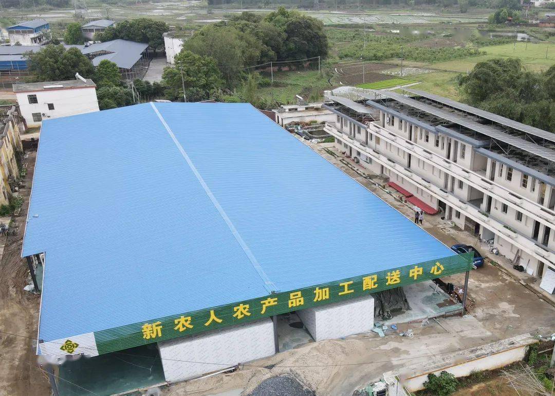 【高质量发展】仁化县新农人生态农业发展有限公司农产品加工厂提速
