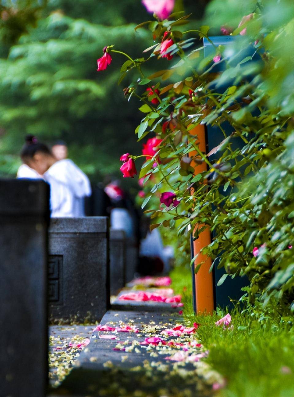 诗话迎泽丨在迎泽,跟着古人去春游_公园_汾河_落花