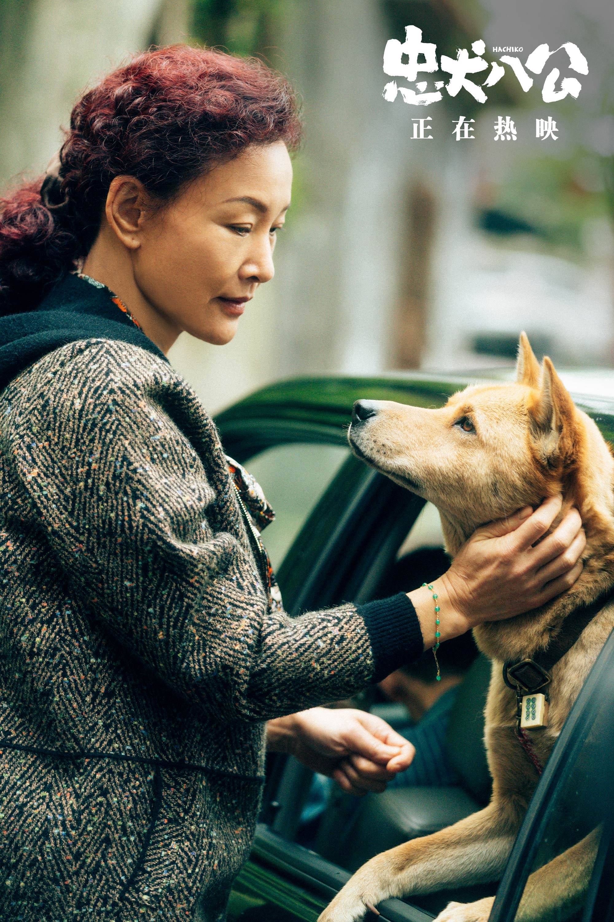 总犬八公图片