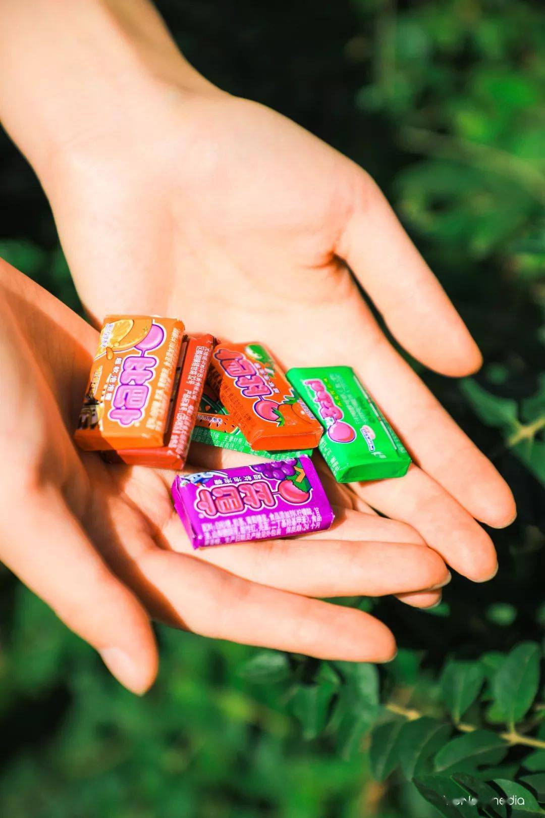 吃饱了四处走走,还能在路边的商店发现童年回忆.