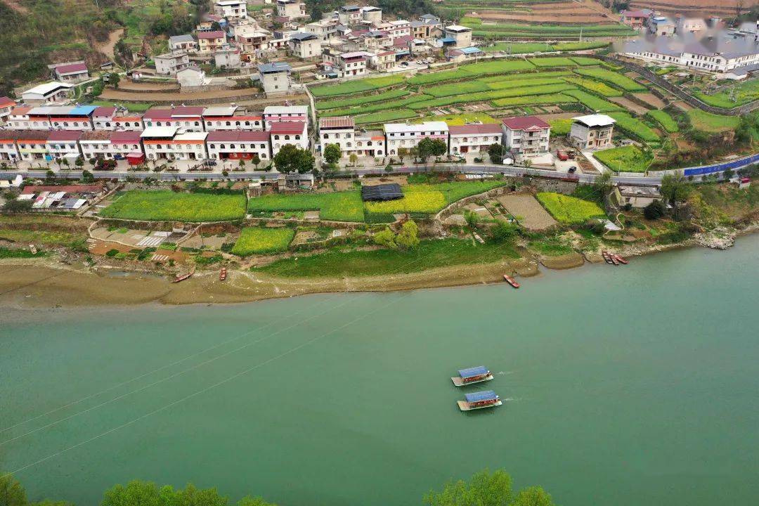 "游客王女士听说保康县过渡湾镇的"百花走廊"美得很,便趁周末带家人