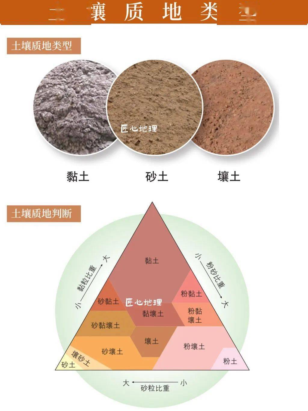 土壤垂直结构图片