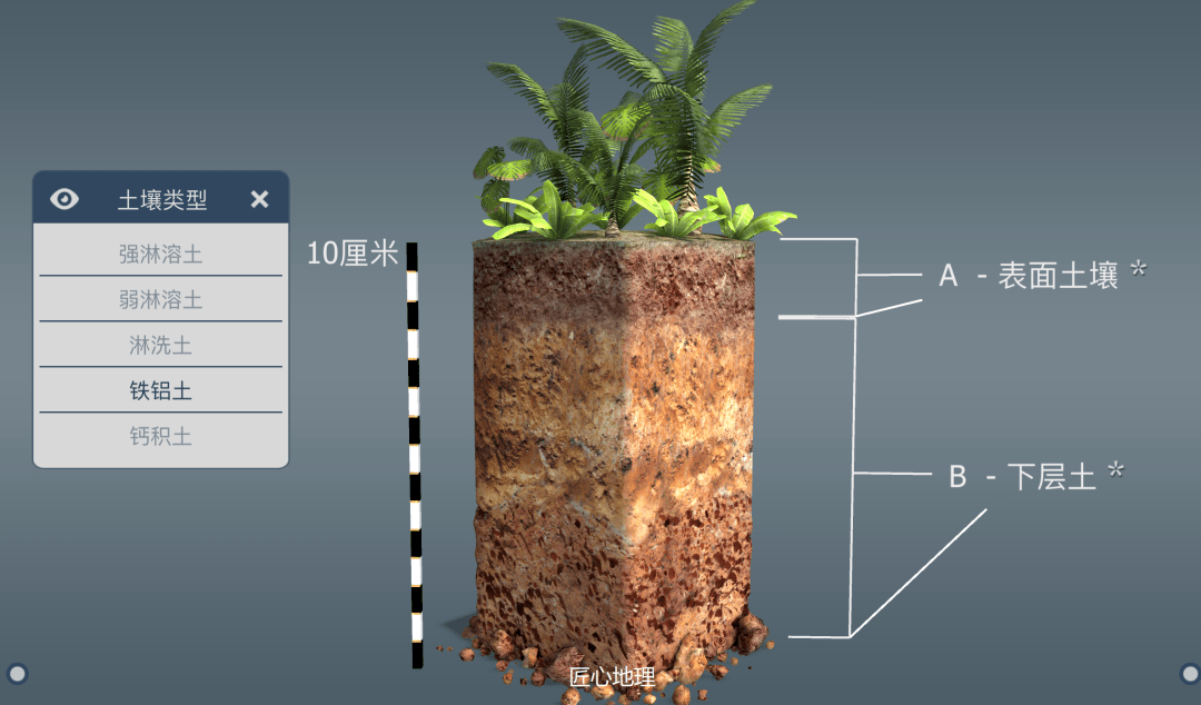 【每日一图】你没见过的土壤垂直分布图,值得收藏!_高考_数学_平台