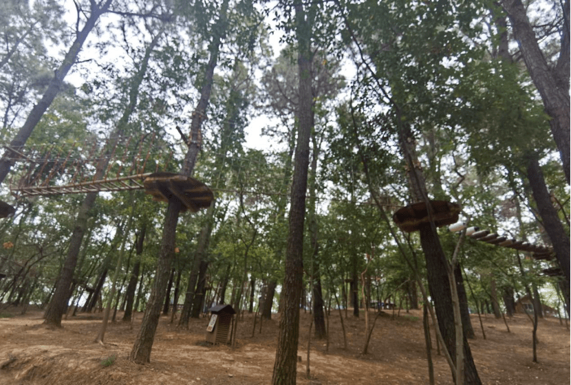 南京松鼠咔咔森林乐园图片