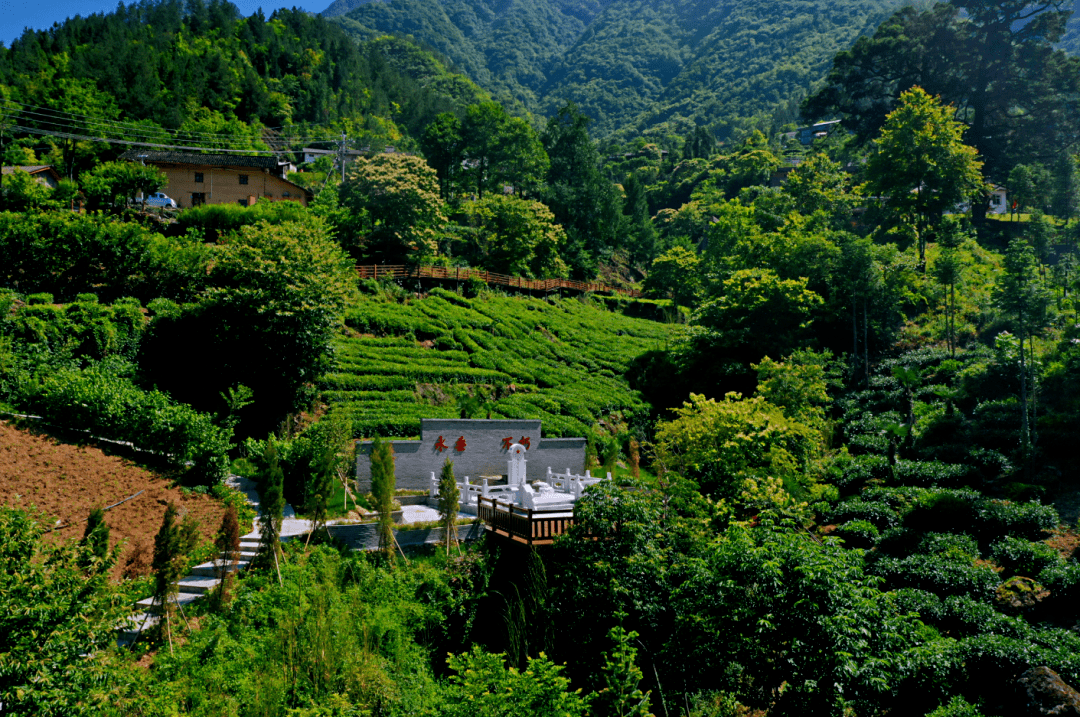 共同缔造丨木鱼镇红花坪村:共同缔造 探索旅游发展新思路_木瓜园_建设
