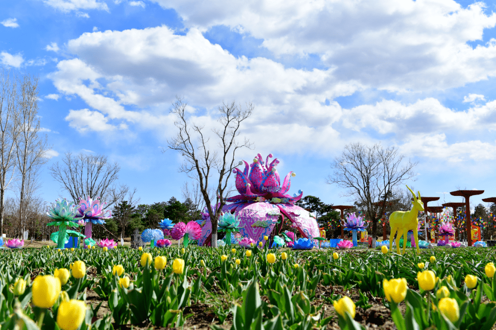 世园公园50万株郁金香迎来盛放季,开启春日赏花之旅→_延庆_北京_品种