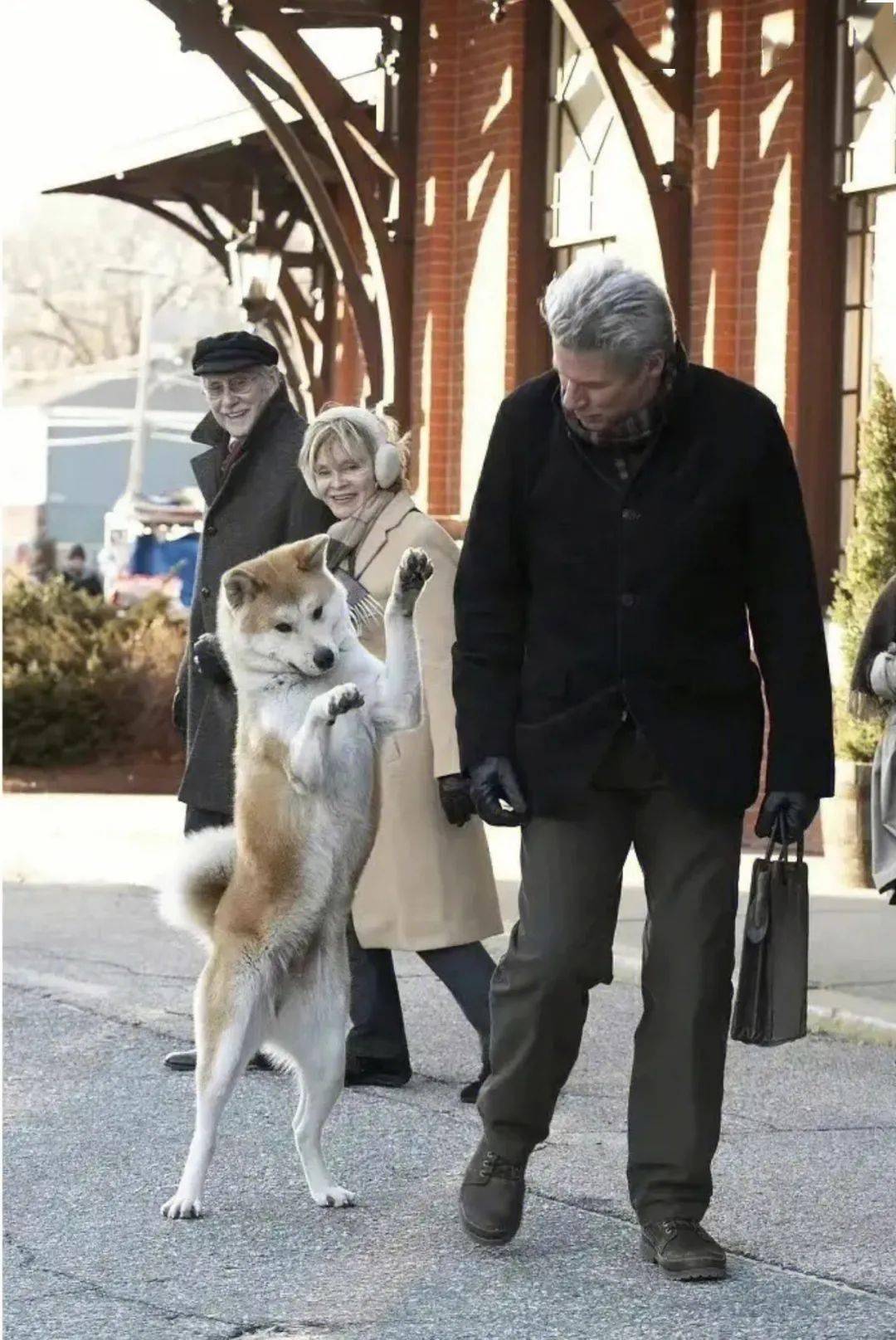 由莱塞·霍尔斯道姆执导理查·基尔琼·艾伦萨拉