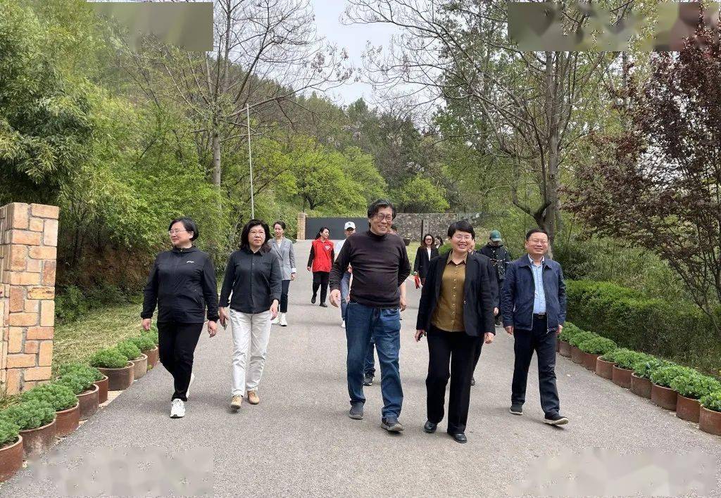 特别奖!洛宁又获殊荣!_服务_志愿_文旅