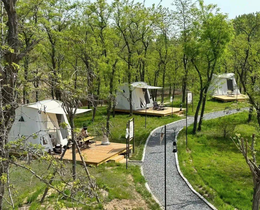 郑州春日露营好去处,出片率100%!