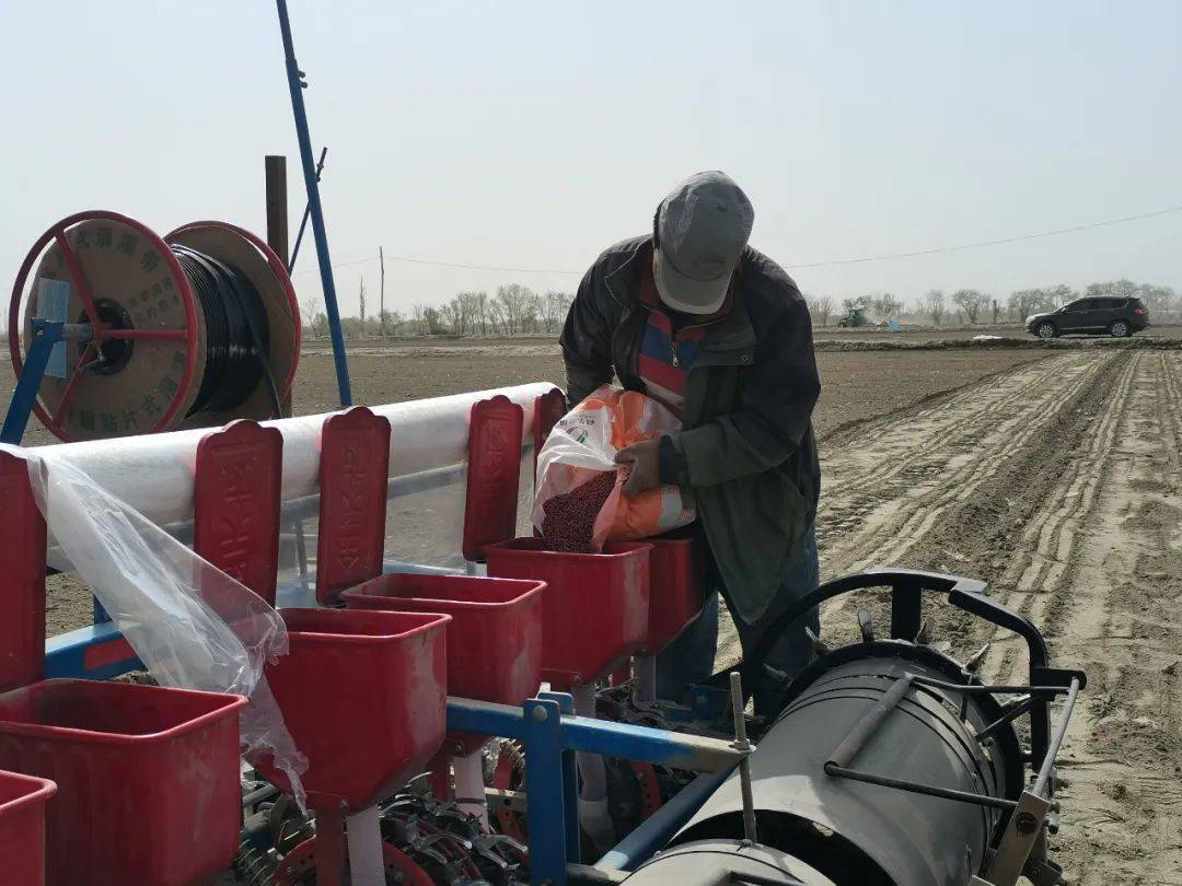 库尔勒市95万余亩棉花开播_种植_和什力克乡_播种机