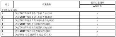 龙迅半导体（合肥）股份有限公司2022年度陈述摘要