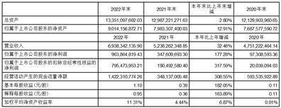 鲁泰纺织股份有限公司2022年度陈述摘要