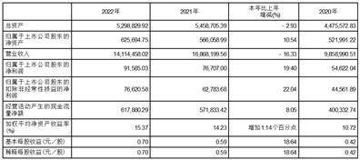 苏美达股份有限公司2022年度陈述摘要