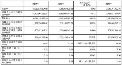 上海派能能源科技股份有限公司2022年度陈述摘要