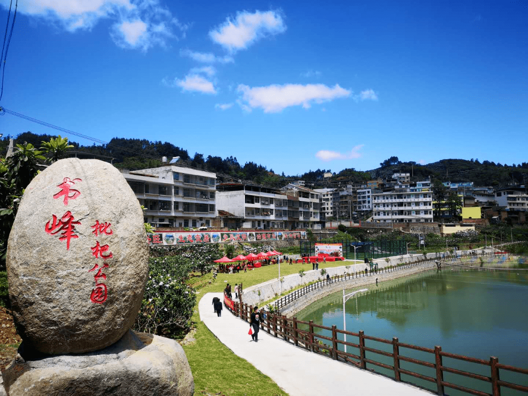 仙游书峰枇杷文化旅游节即将启幕~_活动_美食_直播