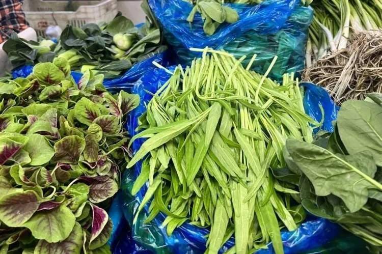 节间中空,节上无根,清脆水嫩的样子让人欢喜.