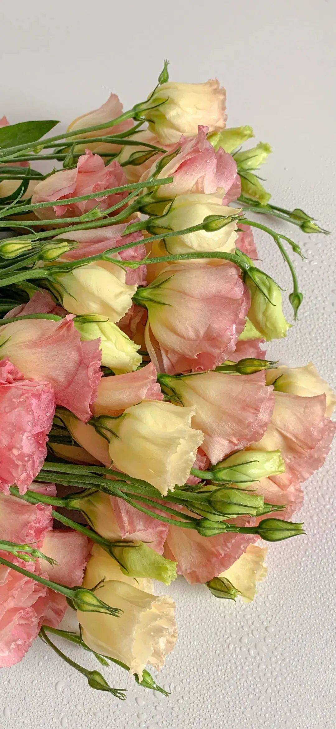 壁纸| 超好看的文艺ins风锁屏壁纸 676767