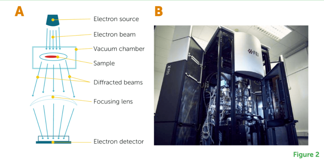 ŵ��������⣺�䶳�羵��������ֱ��ʸ���