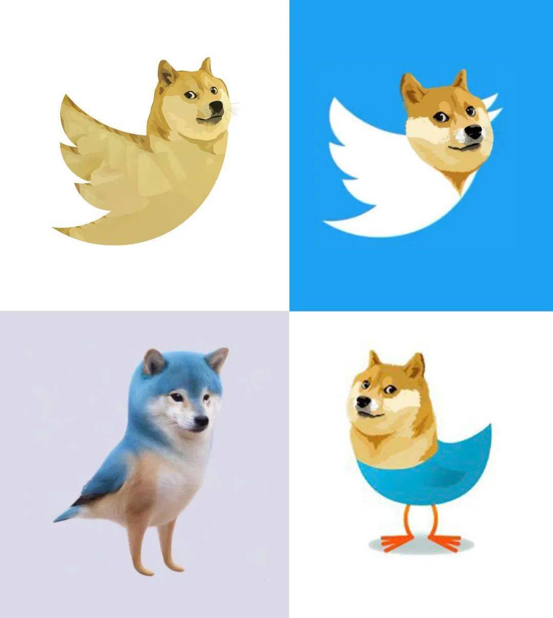 哈哈哈哈小蓝狗这才是twitter的新logo吧不过各种形式手到擒来千变万