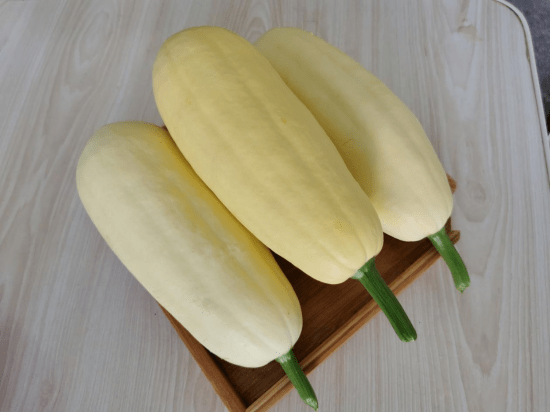 杏瓜,石城特产!想吃吗?_珠坑乡_大棚_蔬菜