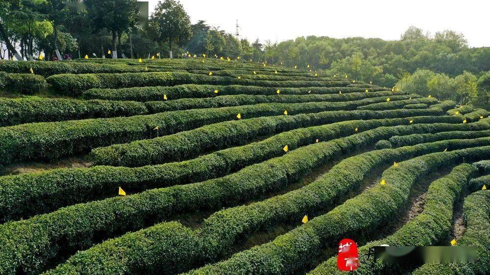 丹江口风景区门票图片