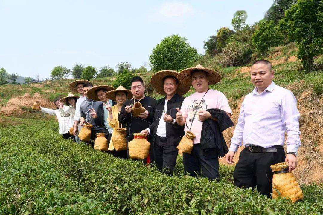领茶叶（领茶叶申请） 领茶叶（领茶叶申请）《茶叶领取》 茶叶资讯