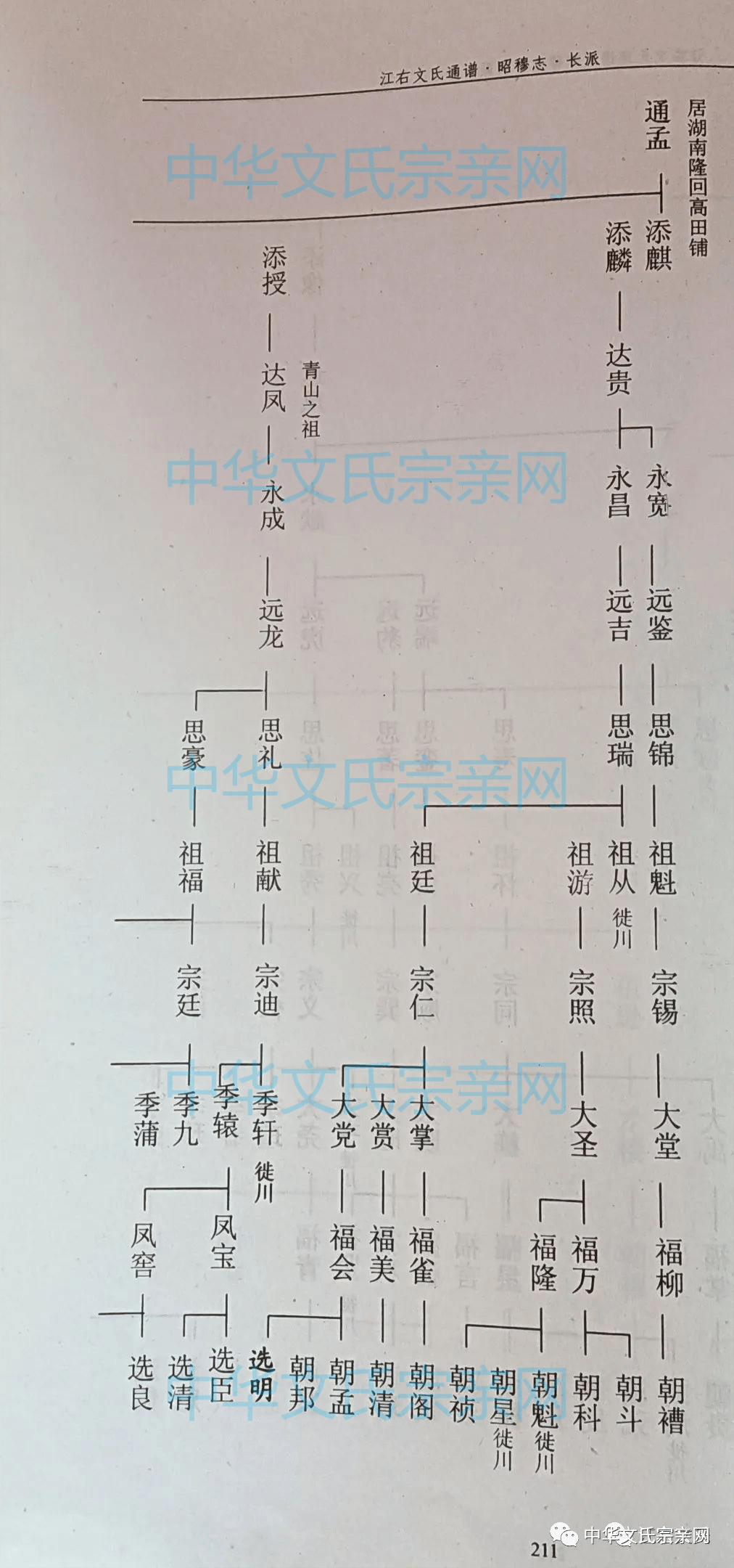 文氏族谱 | 湖南省邵阳文氏三修族谱_夫妇_世系_天塘