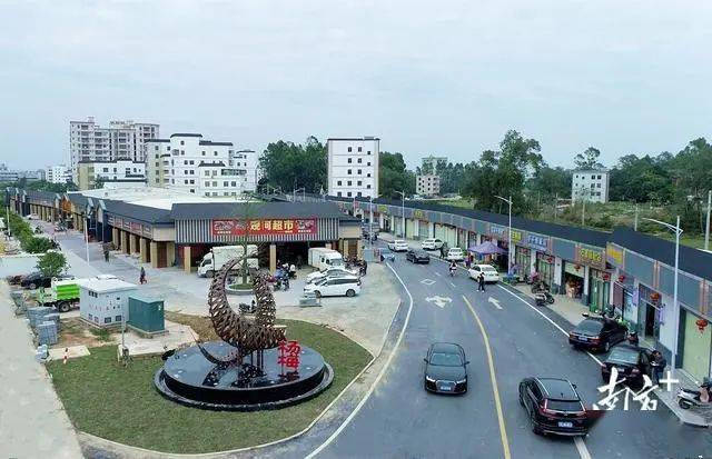 化州这个镇将大爆发……_发展_工程_万村