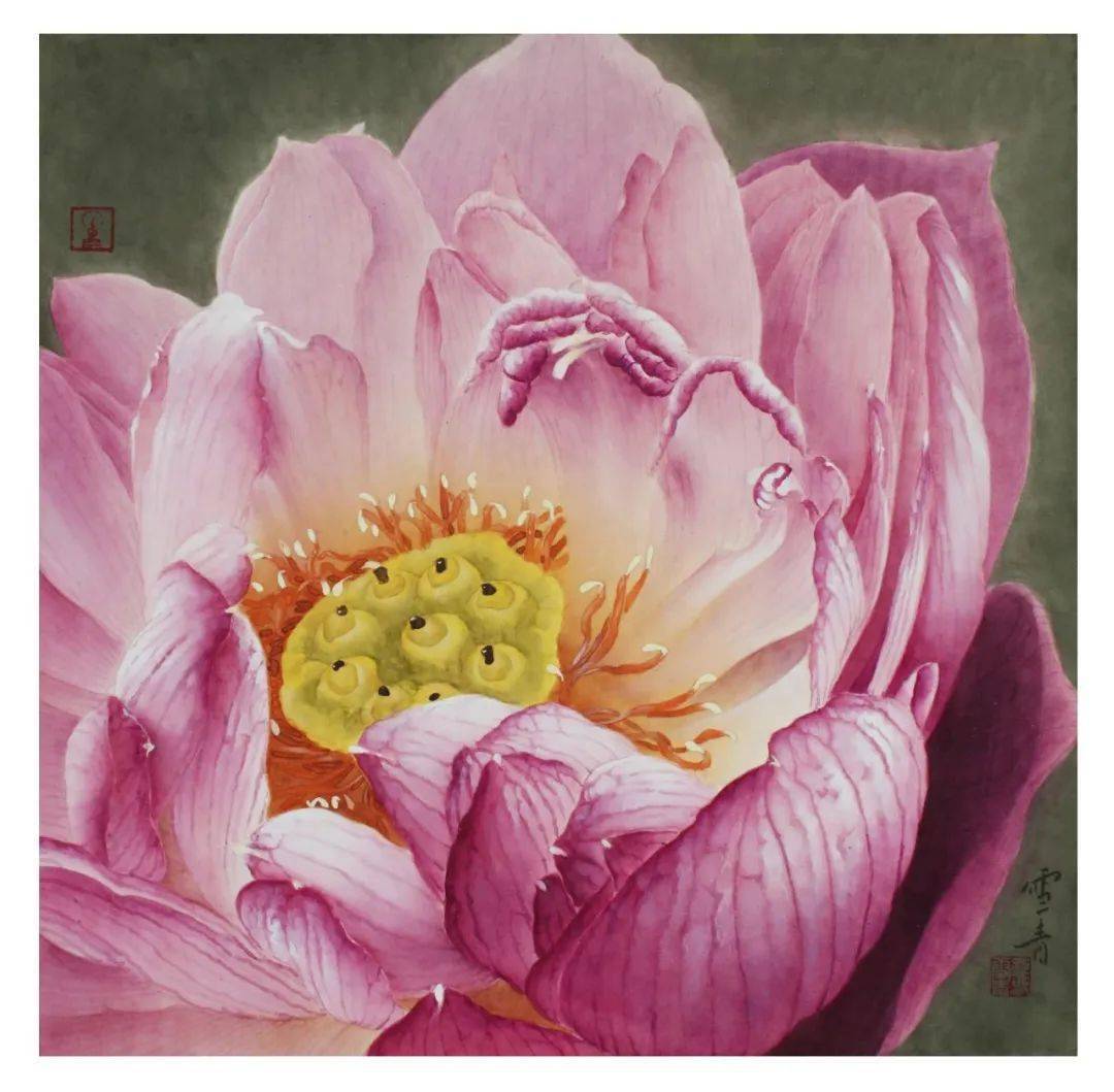 【教程】龚雪青工笔荷花《玉露》绘制步骤_花瓣_莲蓬_颜色