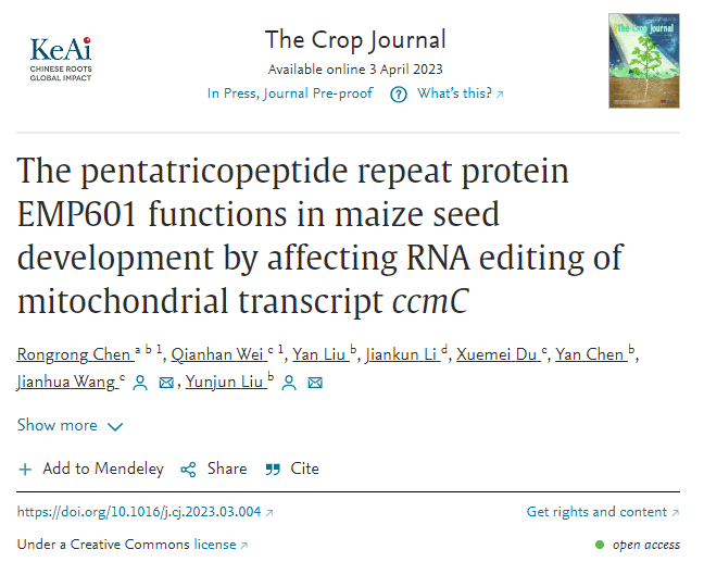 中国农科院作科所联合中国农大揭示EMP601调控玉米籽粒发育的分子机制_emp_研究_ccmC