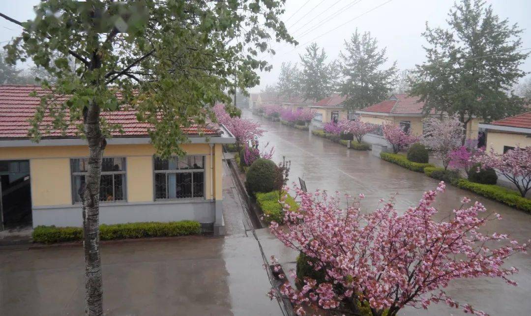 学校坐落在莱阳市穴坊镇政府驻地,是一所设施齐全,管理规范,特色凸显