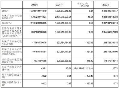 浙江司太立造药股份有限公司2022年度陈述摘要