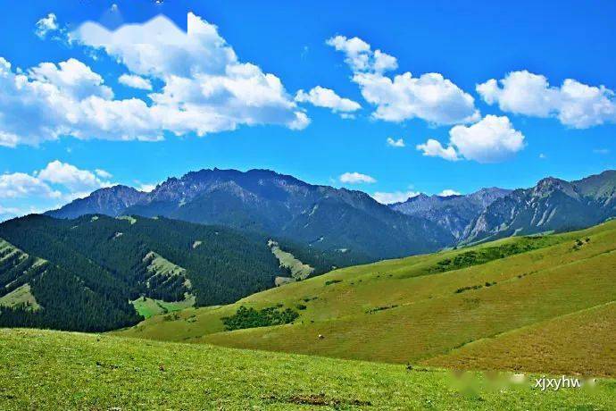 (天天發團)烏魯木齊南山牧場西白楊溝一日遊_旅遊意外險_新疆_必備