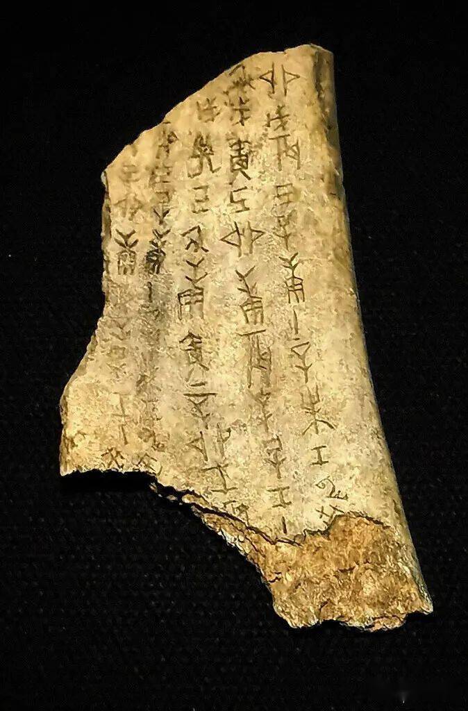 中华文化的根脉--殷商甲骨