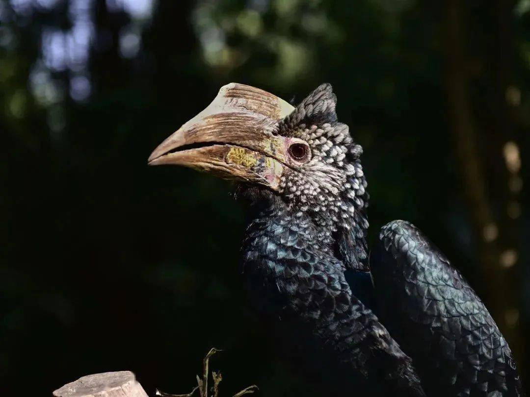 班 张兆辉 《行走的面具》八年级10班 刘雅涵 《凝》八年级9班 李亚蓉