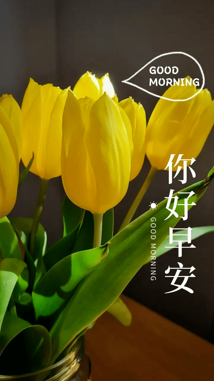 今天4月19日,早安吉祥祝福语图片_是一种_锻炼_代谢