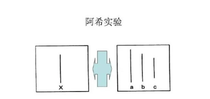 30岁后,警惕成为《乌合之众》_勒庞_阿希_菲利贝尔