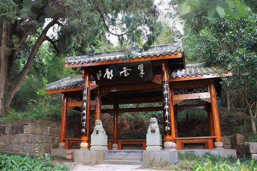 快来广元翠云廊乘凉吧_避暑_树木_古道