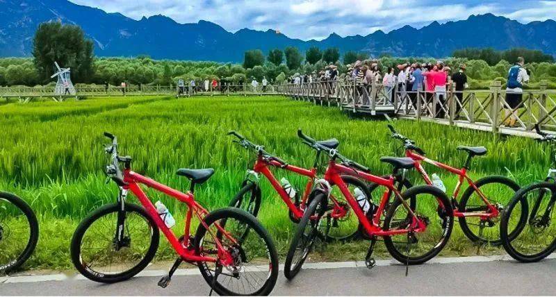 北京十佳自行车骑游线路最美的一条周末,节假日|延庆边骑边玩61休闲