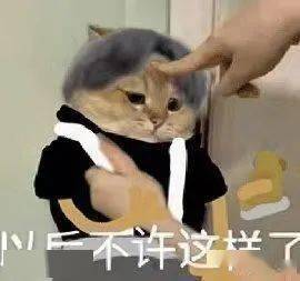 奇怪的表情包:以后不许这样了_人生_因为_什么