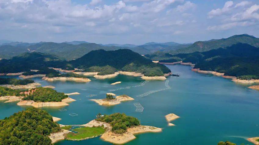 争优争先争效丨永定龙湖国际路亚基地要来啦!_项目_景区_服务平台