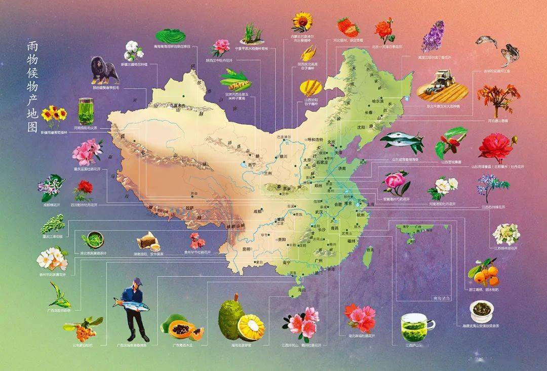 在内容布局,表现形式,视觉美感上,都经过精心设计,反复打磨,给人唯美