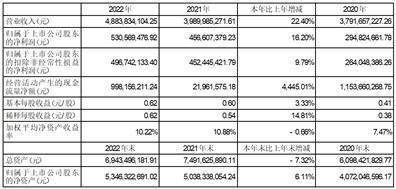 安徽省司尔特肥业股份有限公司2022年度陈述摘要