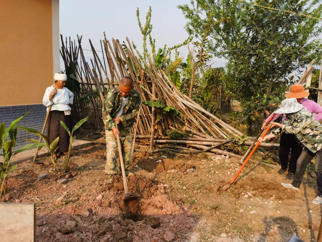 【绿美景谷】勐班乡:党群合声发力 共建绿美村庄_群众_村民_行动