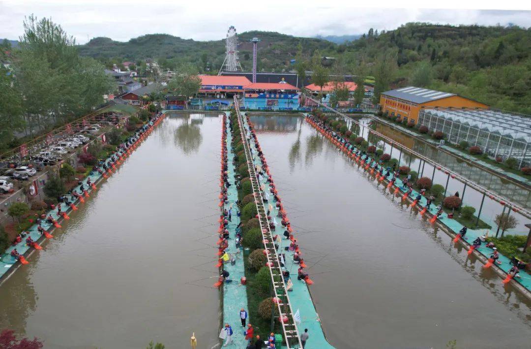 齐聚一"塘","渔"乐无限!成县这个钓鱼大赛引人瞩目→_比赛_参赛_运动