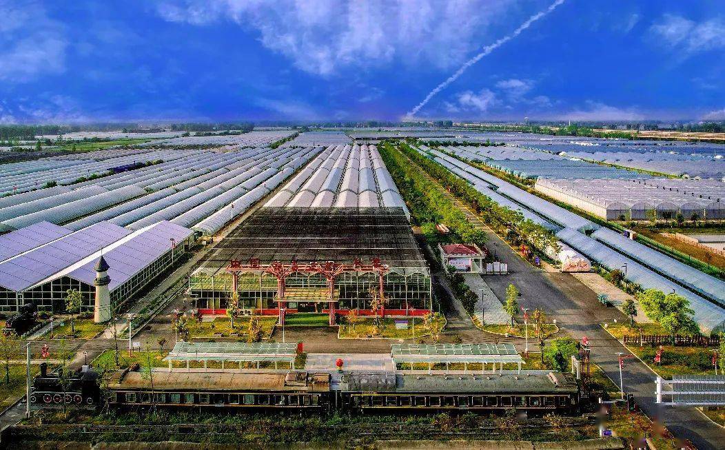 "在希望的田野上"系列报道551: 安徽长丰:小草莓成就百亿大品牌