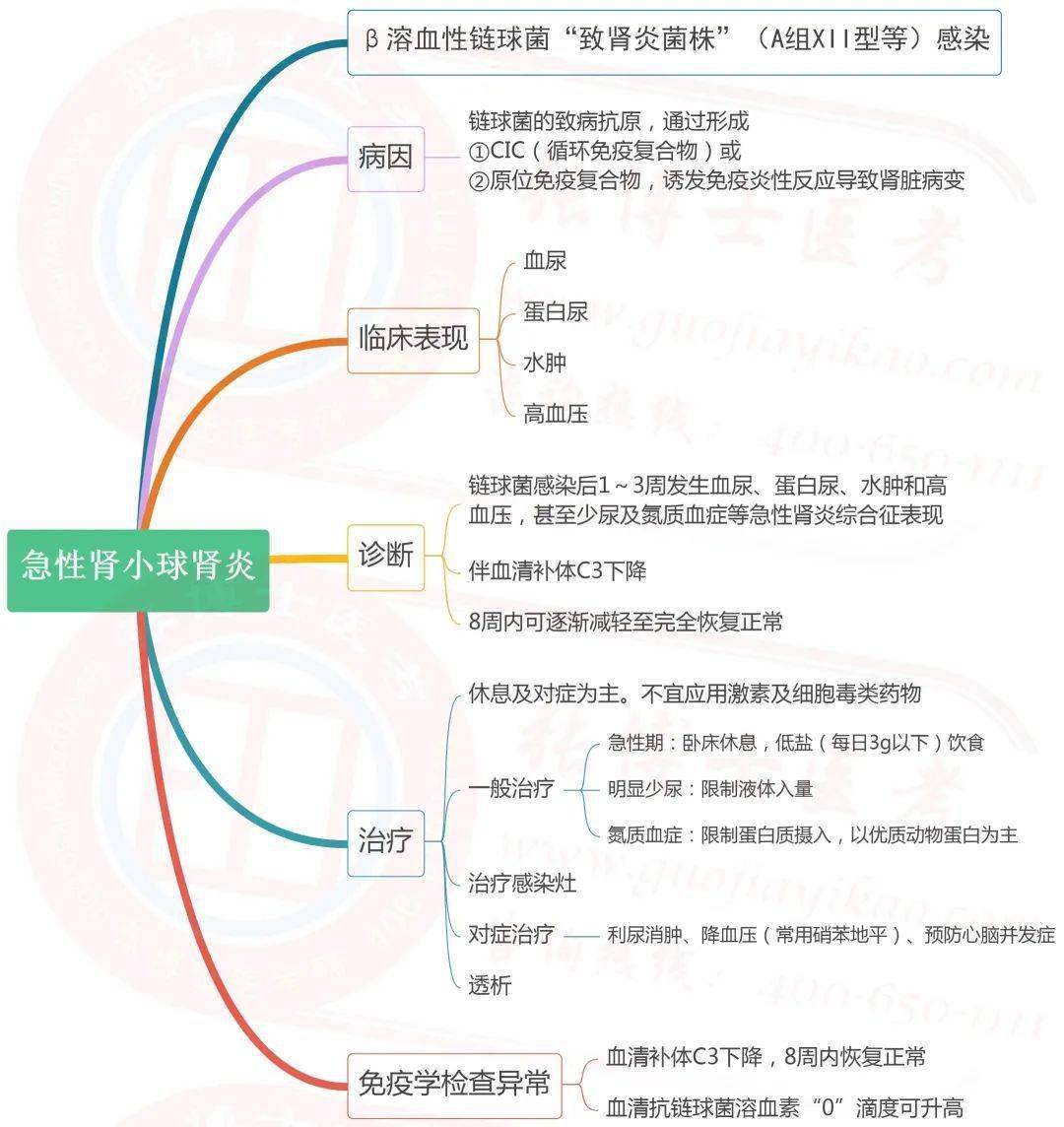 临床 泌尿系统思维导图